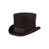 Top hat.jpeg